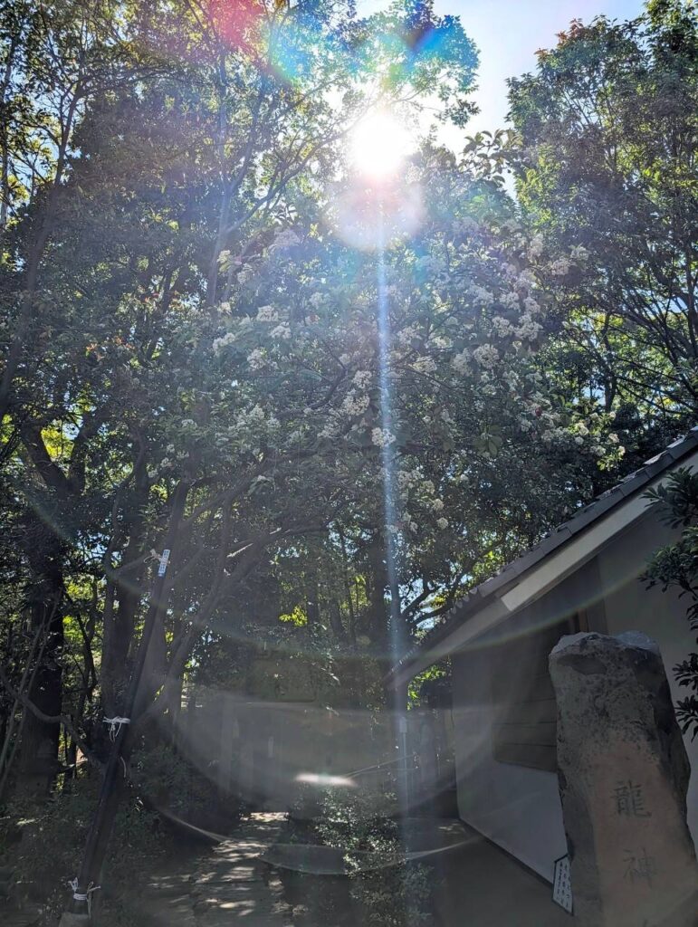 ひさちゃんが撮った写真、相変わらずすごいｗ